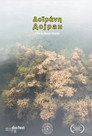 Doirani | Dojran