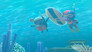 Stay Calm & Snorkel