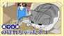 Night 70: The Cat that Climber Up
