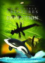 Incredible Creatures That Defy Evolution II