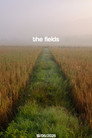 the fields
