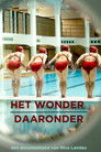 Het wonder daaronder