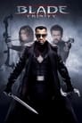 Poster for Blade: Trinity