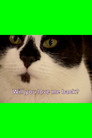 Valentine for Perfect Strangers