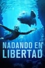 Imagen Nadando en libertad