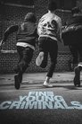 Fine Young Criminals Episode Rating Graph poster