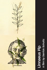 Linnaeus Pip