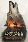 In the Company of Wolves: An American Journey