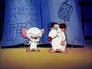 Pinky & The Brain and... Larry