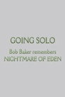 Going Solo (2012) - Affiche