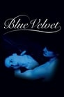 Poster for Blue Velvet