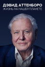 Постер: David Attenborough: A Life on Our Planet