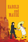 2-Harold and Maude