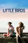 Poster van Little Birds