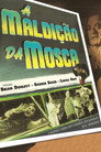 A Maldição da Mosca