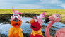 Image Sesame Street
