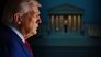 Trump vs the Law
