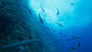Our Oceans - الحلقة 1