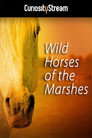 Wild Horses Of The Marshes (2015) In Streaming Ita /Altadefinizione Film Senza Limiti