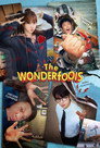 The WONDERfools