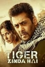 فيلم Tiger Zinda Hai 2017 مترجم اونلاين