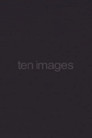 Ten Images