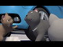 Blackie Goes On Patrol