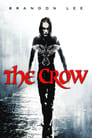 13-The Crow