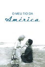 Meu Tio da América