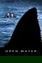 Open Water poster