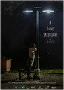 A Lone Streetlight
