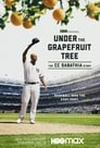 Imagen Under the Grapefruit Tree: The CC Sabathia Story [2020]