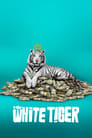 Movie poster for The White Tiger (2021)