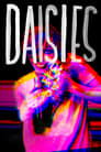 Poster van Daisies