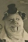 Odéo