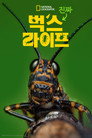 시즌 1