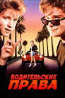 Постер: License to Drive