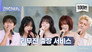Red Velvet's Wendy, Choi Yuree, IVE's Liz & &TEAM's Maki