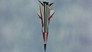 Renegade Rocket