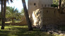 Misfat Al A'briyeen - Oman 01