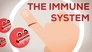 The Immune System Explained I — Bacteria Infection