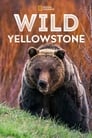 Wild Yellowstone Episode Rating Graph poster