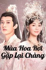 Mùa Hoa Rơi Gặp Lại Chàng