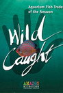 Wild Caught: Aquarium Fish Trade of the Amazon