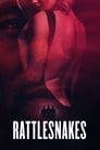 Poster van Rattlesnakes