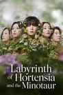 Labyrinth of Hortensia and the Minotaur