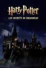 Harry Potter : les secrets du phénomène