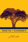 Poster for Taste of Cherry