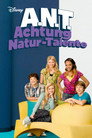 Staffel 3