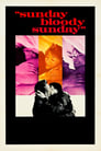 Movie poster for Sunday Bloody Sunday